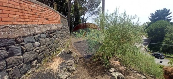 terreno agricolo in vendita a Sant'Alfio