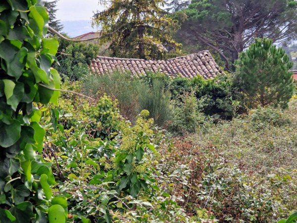 terreno agricolo in vendita a Sant'Alfio