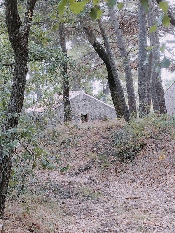 casa semindipendente in vendita a Sant'Alfio
