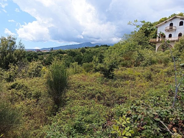 terreno agricolo in vendita a Sant'Alfio