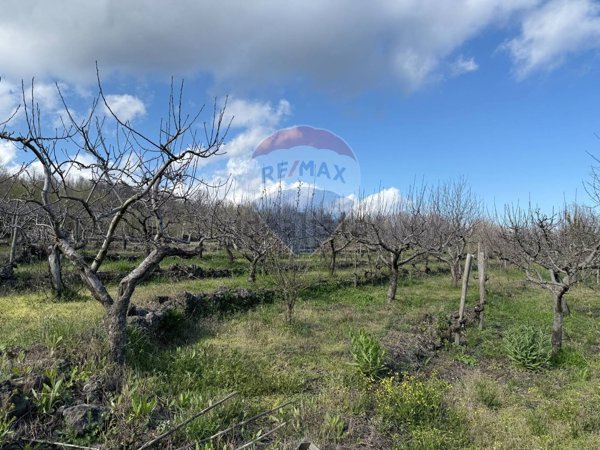 terreno agricolo in vendita a Sant'Alfio