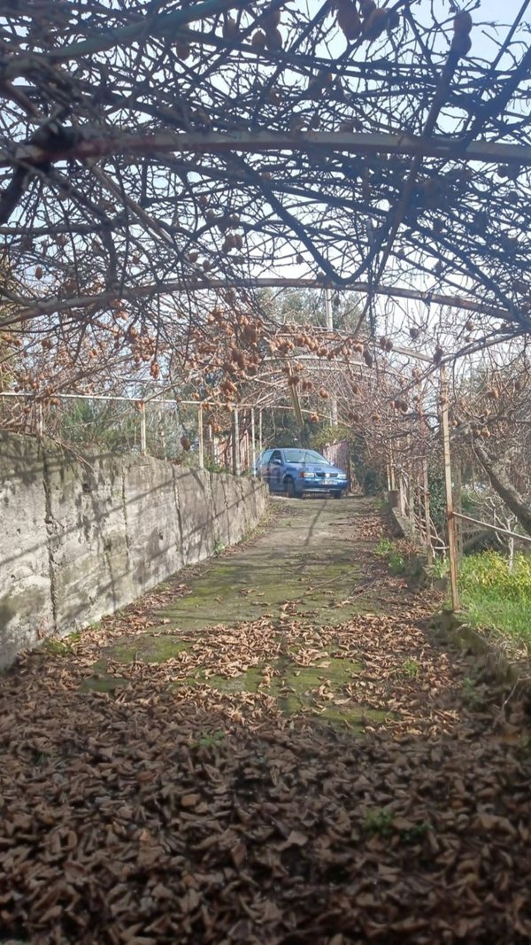 appartamento in vendita a Sant'Alfio