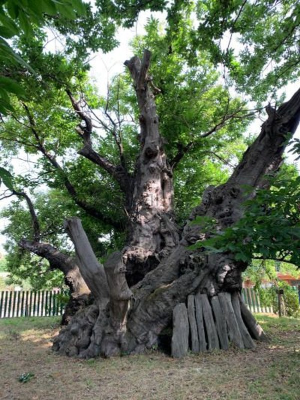 monolocale in vendita a Sant'Alfio