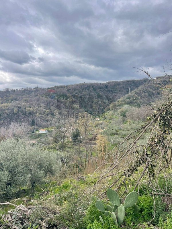 terreno agricolo in vendita a Sant'Alfio