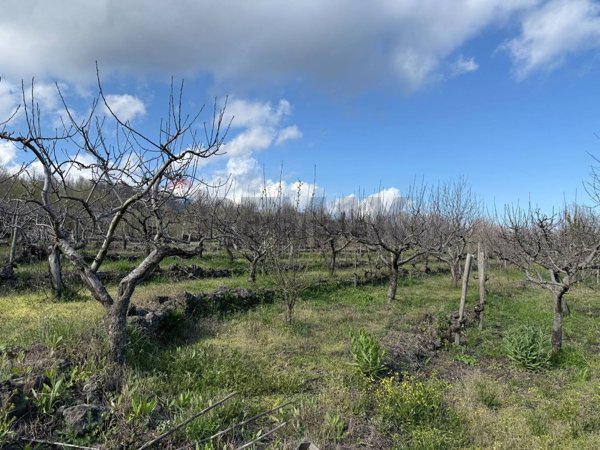 terreno agricolo in vendita a Sant'Alfio