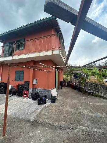 terreno agricolo in vendita a Sant'Alfio