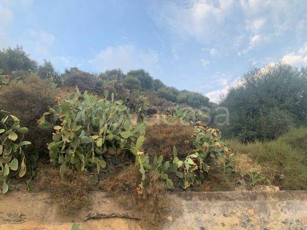 terreno agricolo in vendita a Santa Maria di Licodia