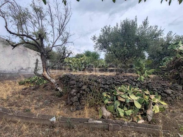 terreno agricolo in vendita a Santa Maria di Licodia