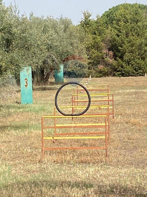 terreno agricolo in vendita a Santa Maria di Licodia