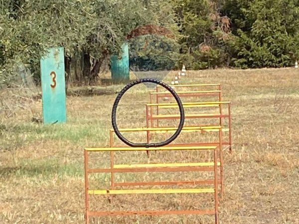 terreno agricolo in vendita a Santa Maria di Licodia