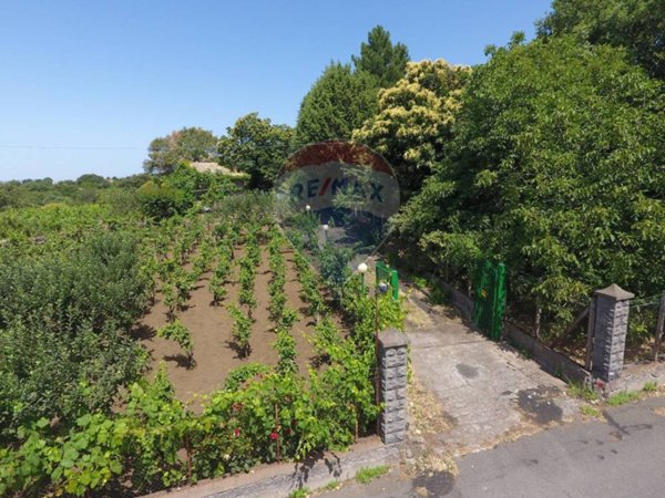 casa indipendente in vendita a Santa Maria di Licodia