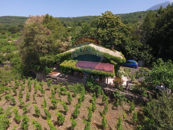 casa indipendente in vendita a Santa Maria di Licodia