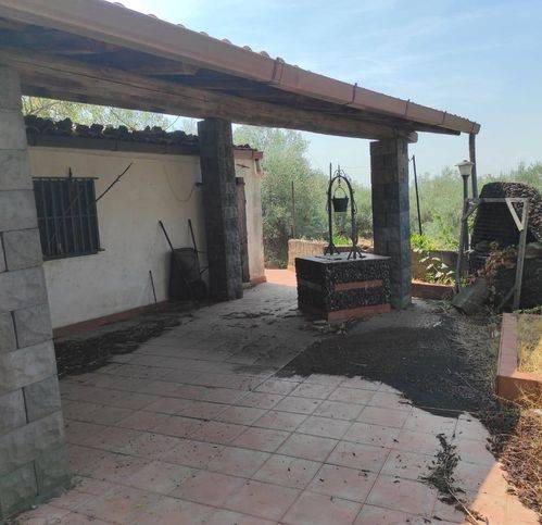 terreno agricolo in vendita a Santa Maria di Licodia