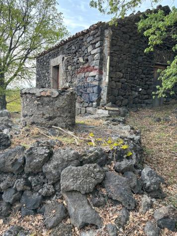 terreno agricolo in vendita a Santa Maria di Licodia