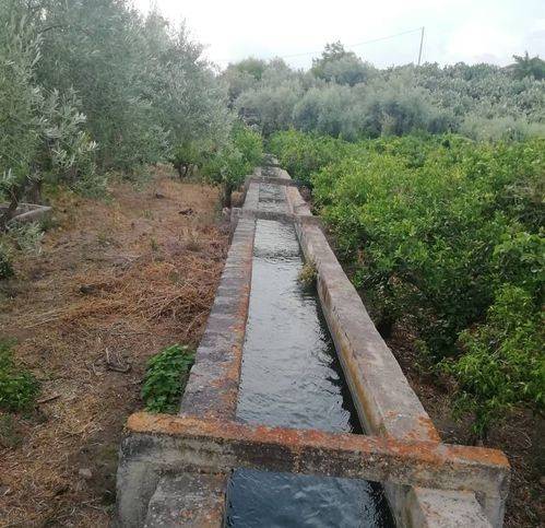 terreno agricolo in vendita a Santa Maria di Licodia