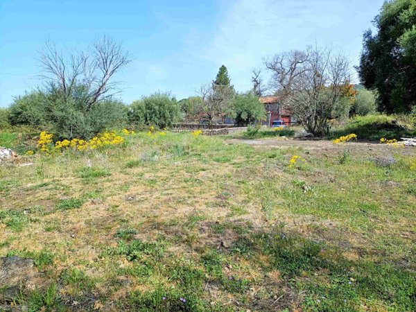 terreno agricolo in vendita a Santa Maria di Licodia