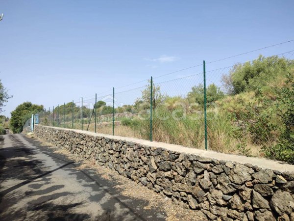 terreno agricolo in vendita a Santa Maria di Licodia