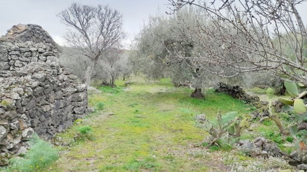 terreno agricolo in vendita a Santa Maria di Licodia