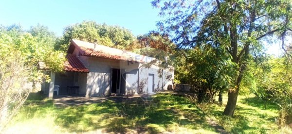 negozio in vendita a Santa Maria di Licodia