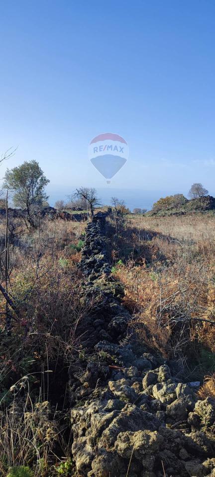 terreno agricolo in vendita a Santa Maria di Licodia