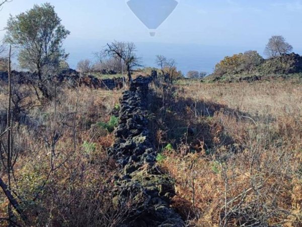 terreno agricolo in vendita a Santa Maria di Licodia