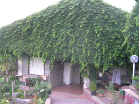 casa indipendente in vendita a Santa Maria di Licodia