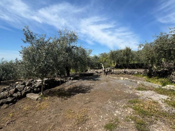 casa indipendente in vendita a Santa Maria di Licodia
