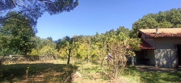 appartamento in vendita a Santa Maria di Licodia