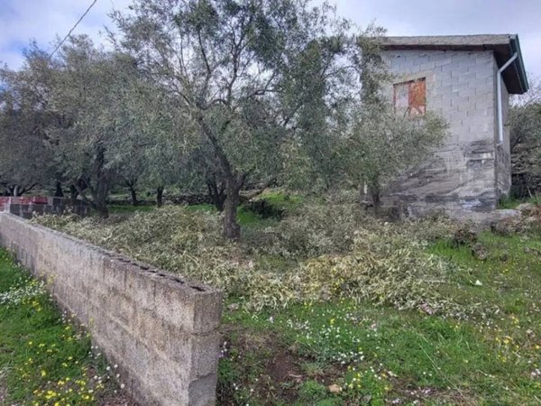 terreno agricolo in vendita a Santa Maria di Licodia