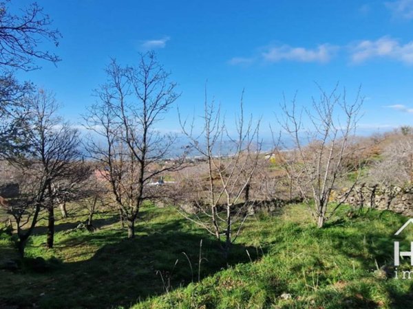 terreno agricolo in vendita a Santa Maria di Licodia
