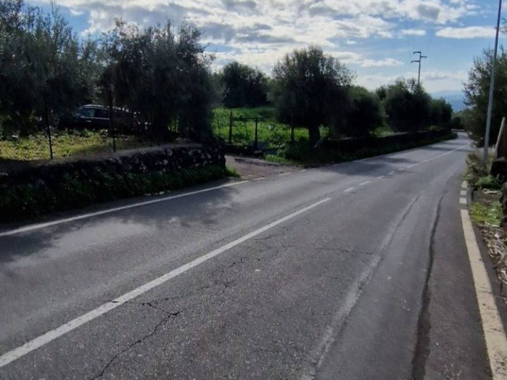 terreno agricolo in vendita a Santa Maria di Licodia