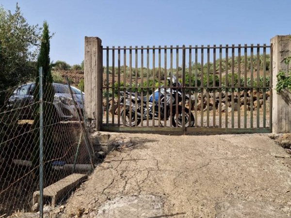 terreno agricolo in vendita a Santa Maria di Licodia