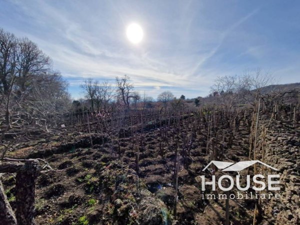 terreno agricolo in vendita a Santa Maria di Licodia