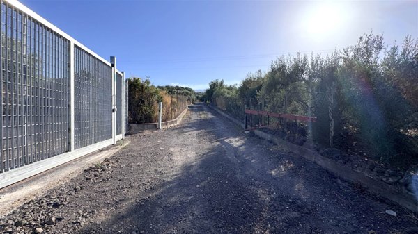 terreno agricolo in vendita a Santa Maria di Licodia