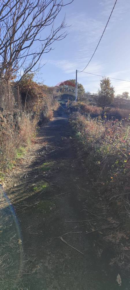 terreno agricolo in vendita a Santa Maria di Licodia