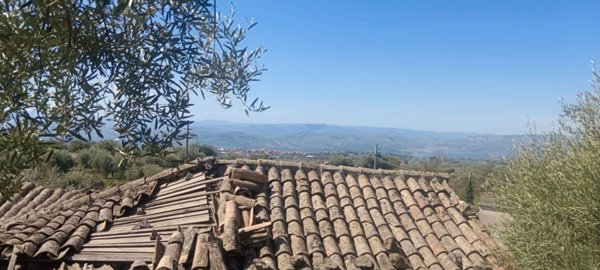 terreno agricolo in vendita a Santa Maria di Licodia