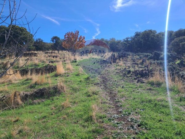 terreno agricolo in vendita a Santa Maria di Licodia