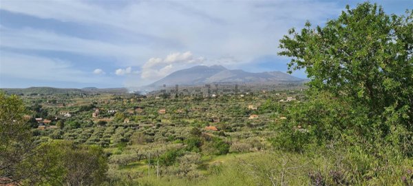 terreno agricolo in vendita a Santa Maria di Licodia