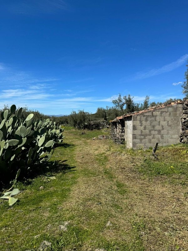 terreno agricolo in vendita a Santa Maria di Licodia