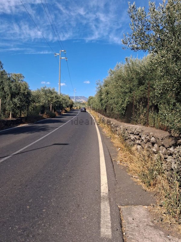terreno agricolo in vendita a Santa Maria di Licodia