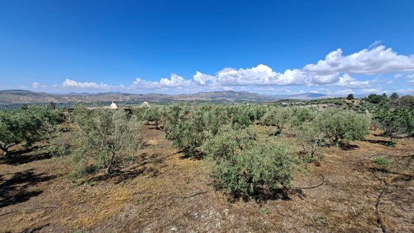 terreno agricolo in vendita a Santa Maria di Licodia