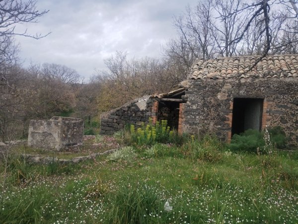 terreno agricolo in vendita a Santa Maria di Licodia
