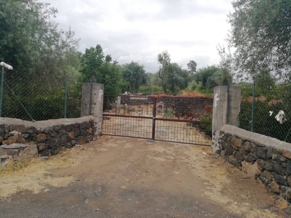 terreno agricolo in vendita a Santa Maria di Licodia