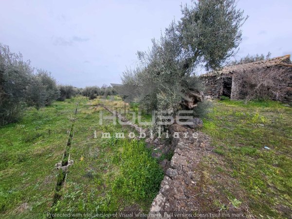 rudere in vendita a Santa Maria di Licodia