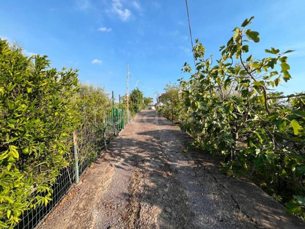 casa indipendente in vendita a Santa Maria di Licodia