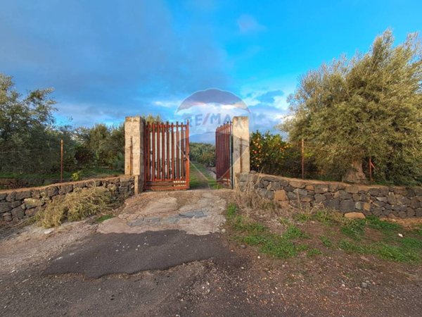 terreno agricolo in vendita a Santa Maria di Licodia