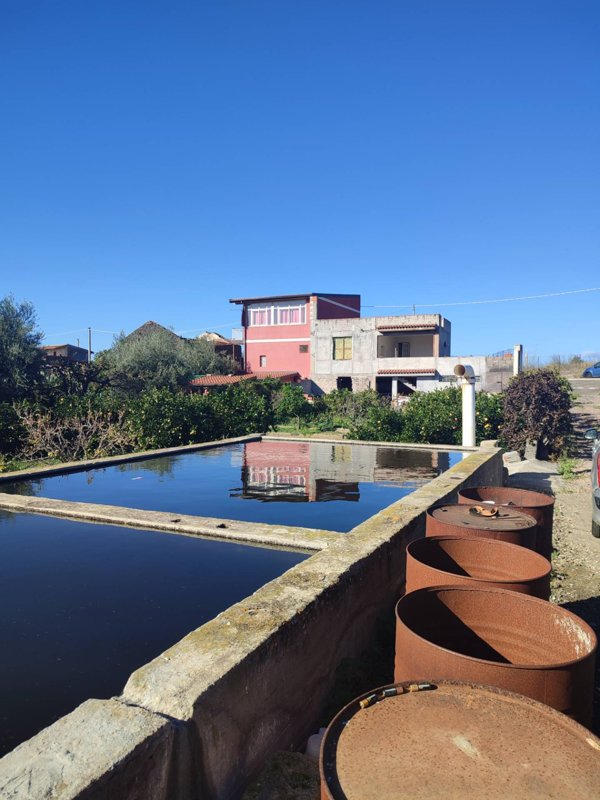 terreno agricolo in vendita a Santa Maria di Licodia