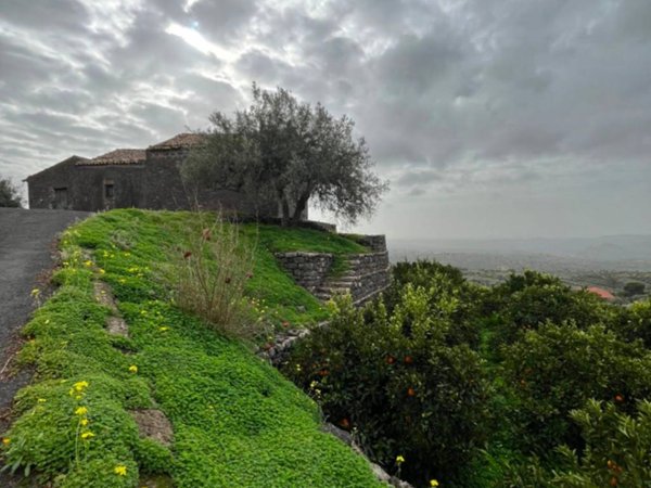 terreno agricolo in vendita a Santa Maria di Licodia