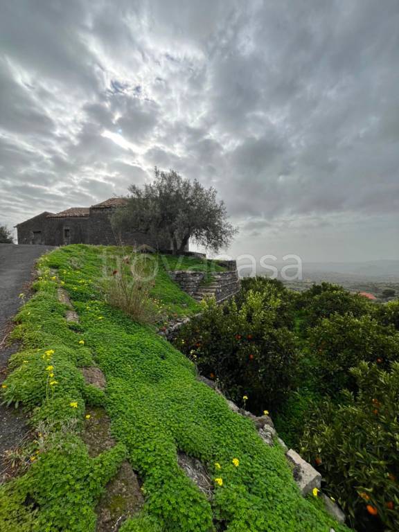 terreno agricolo in vendita a Santa Maria di Licodia