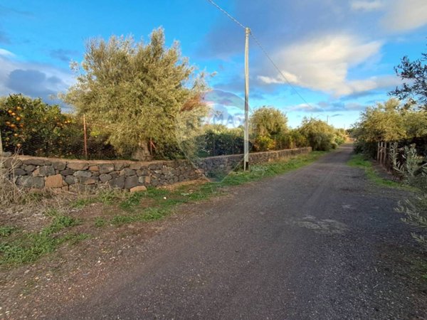 terreno agricolo in vendita a Santa Maria di Licodia